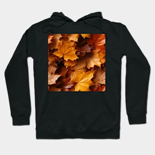 Autumn Leaves Pattern 19 Hoodie